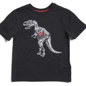 Valentine’s Dinosaur Skeleton with Big Red Heart